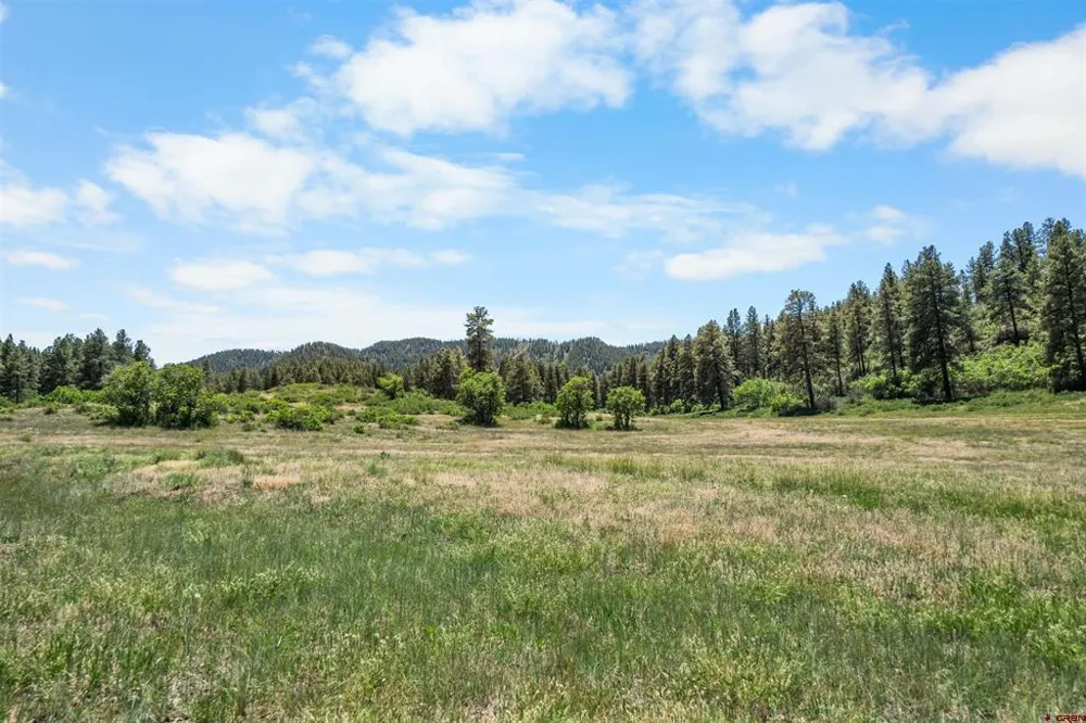 73 Parelli Institute Drive Pagosa Springs, CO 81147