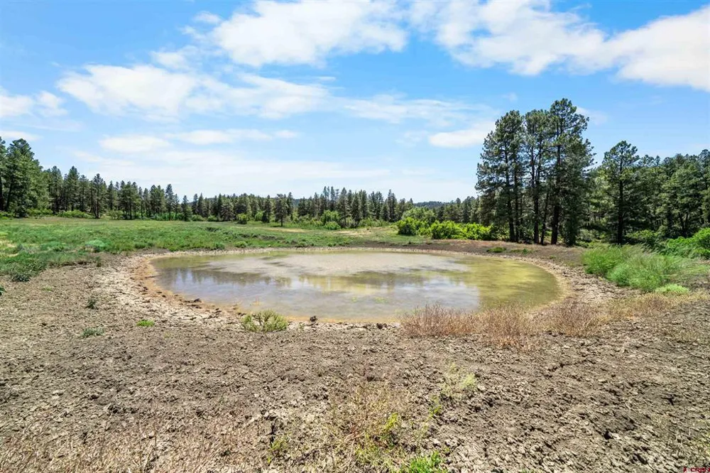 73 Parelli Institute Drive Pagosa Springs, CO 81147