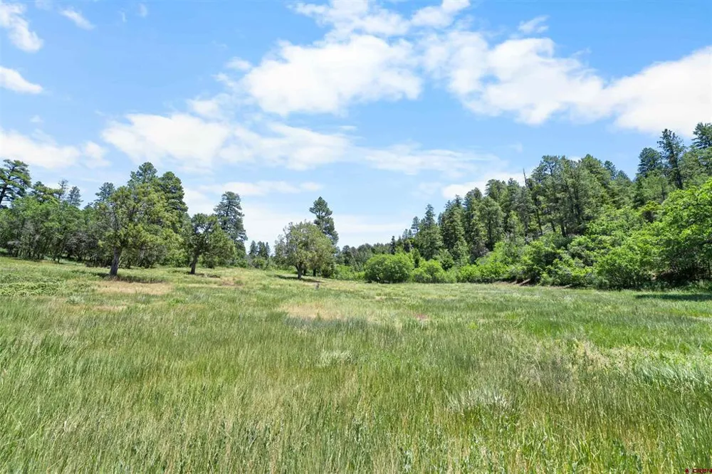 73 Parelli Institute Drive Pagosa Springs, CO 81147
