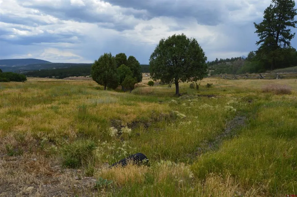 73 Parelli Institute Drive Pagosa Springs, CO 81147