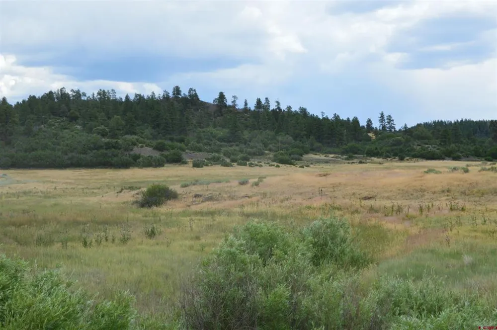 73 Parelli Institute Drive Pagosa Springs, CO 81147