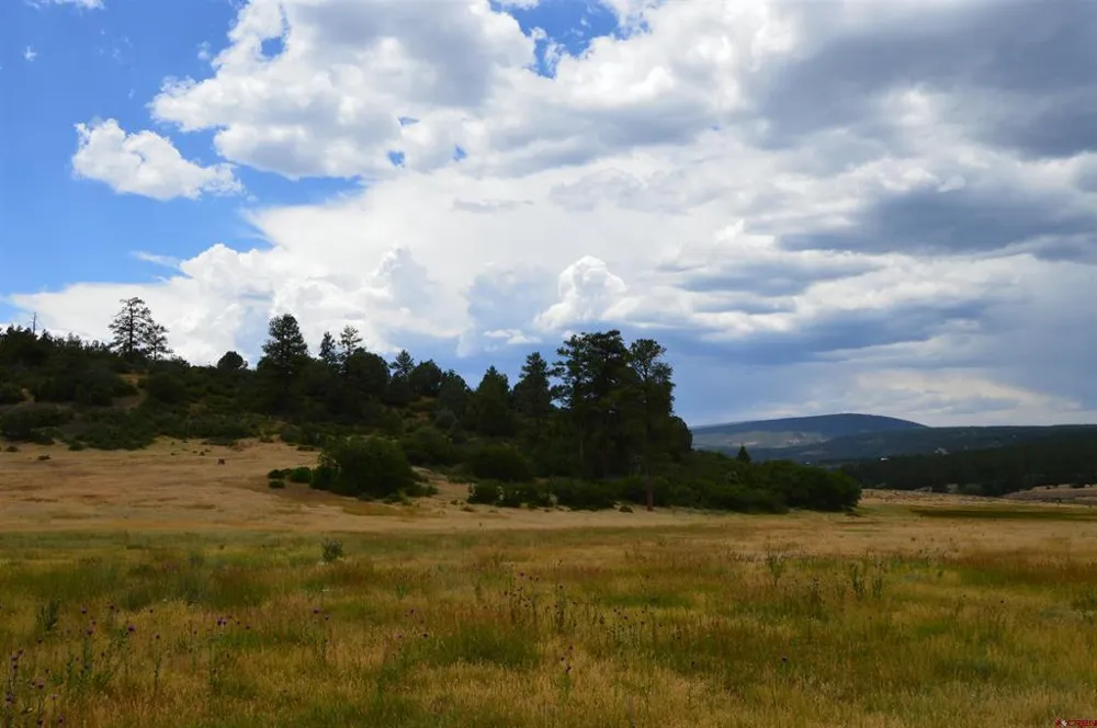 73 Parelli Institute Drive Pagosa Springs, CO 81147