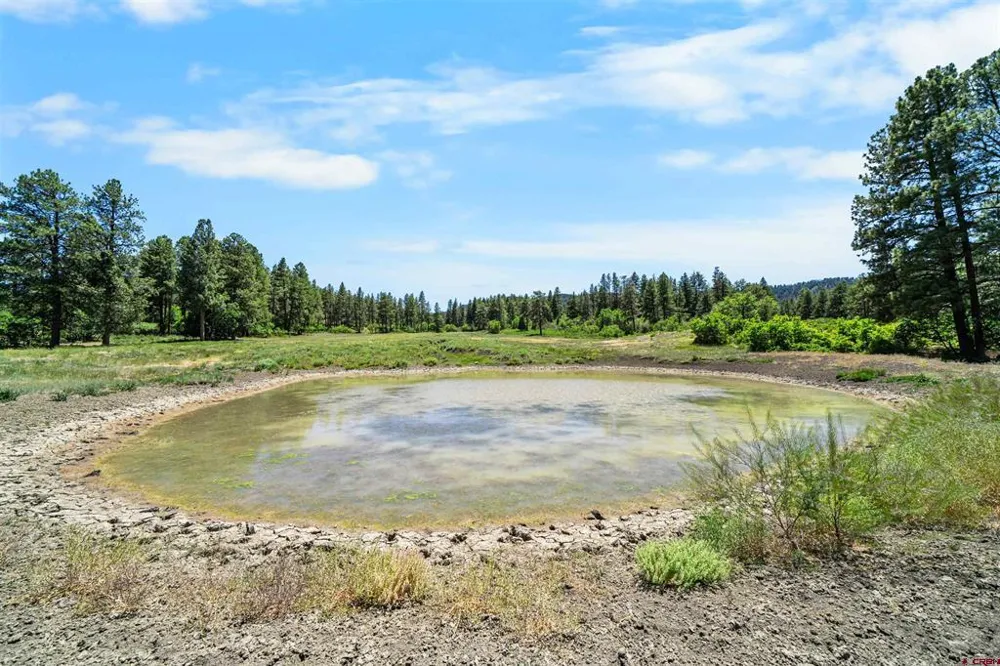 73 Parelli Institute Drive Pagosa Springs, CO 81147