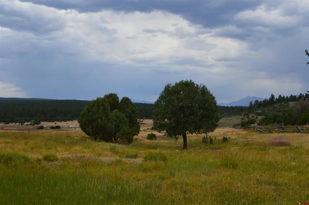 73 Parelli Institute Drive Pagosa Springs, CO 81147