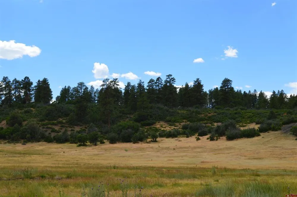 73 Parelli Institute Drive Pagosa Springs, CO 81147
