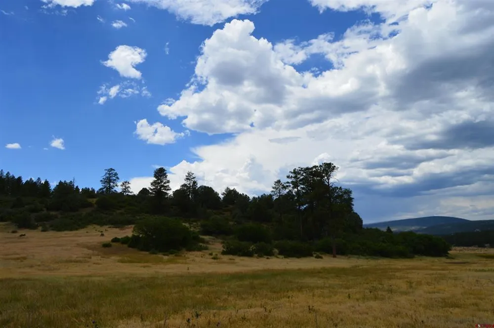 73 Parelli Institute Drive Pagosa Springs, CO 81147