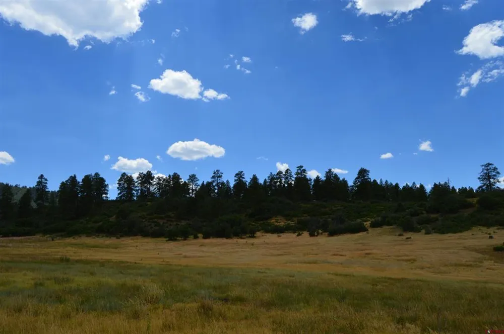 73 Parelli Institute Drive Pagosa Springs, CO 81147