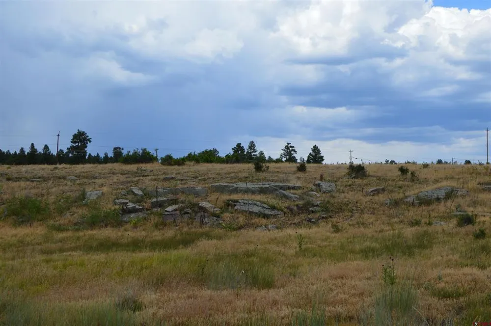 73 Parelli Institute Drive Pagosa Springs, CO 81147