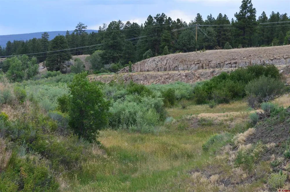 73 Parelli Institute Drive Pagosa Springs, CO 81147