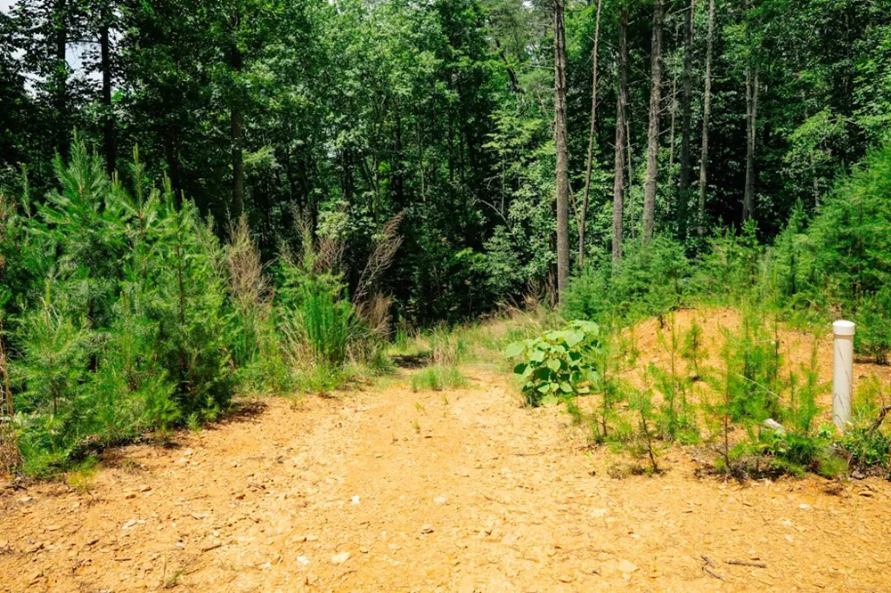 Lot 11 Quail Cove Circle Warne, NC 28909