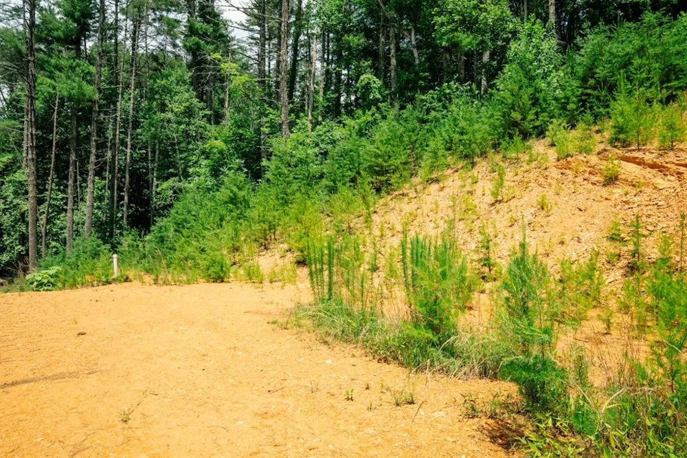 Lot 11 Quail Cove Circle Warne, NC 28909