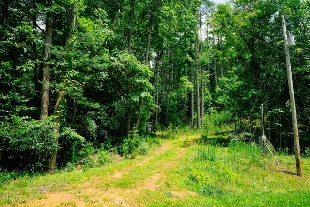 Lot 11 Quail Cove Circle Warne, NC 28909
