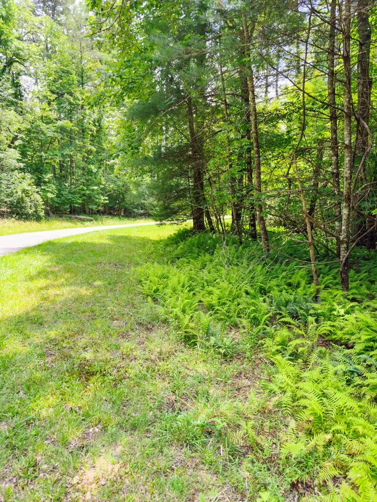 Lot 11 Quail Cove Circle Warne, NC 28909