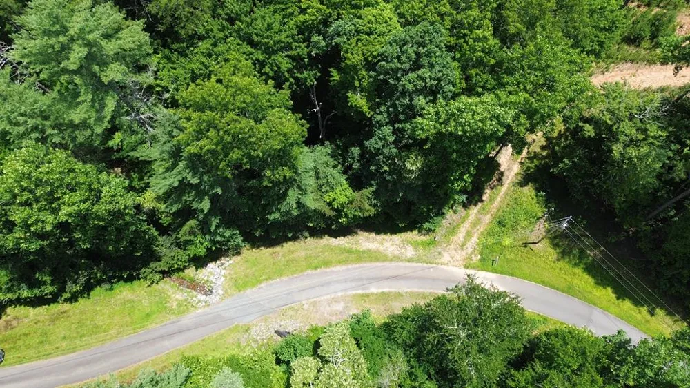 Lot 11 Quail Cove Circle Warne, NC 28909