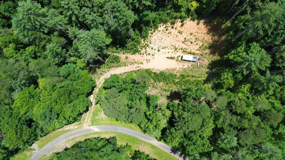 Lot 11 Quail Cove Circle Warne, NC 28909