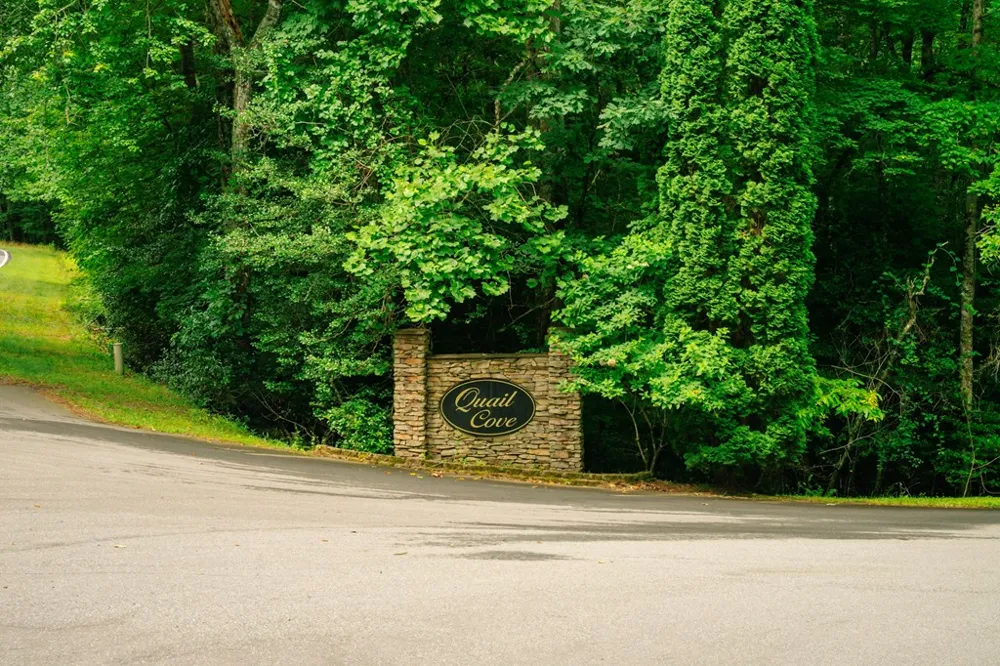 Lot 11 Quail Cove Circle Warne, NC 28909