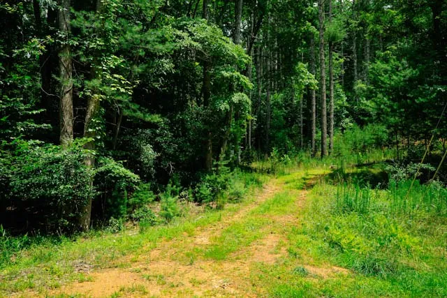 Lot 11 Quail Cove Circle Warne, NC 28909