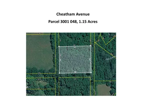 Cheatham Avenue