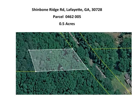 Shinbone Ridge Road