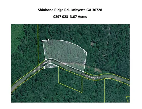 Shinbone Ridge Road