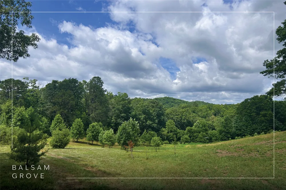 132 Jason McCall Cemetary Road Balsam Grove, NC 28708