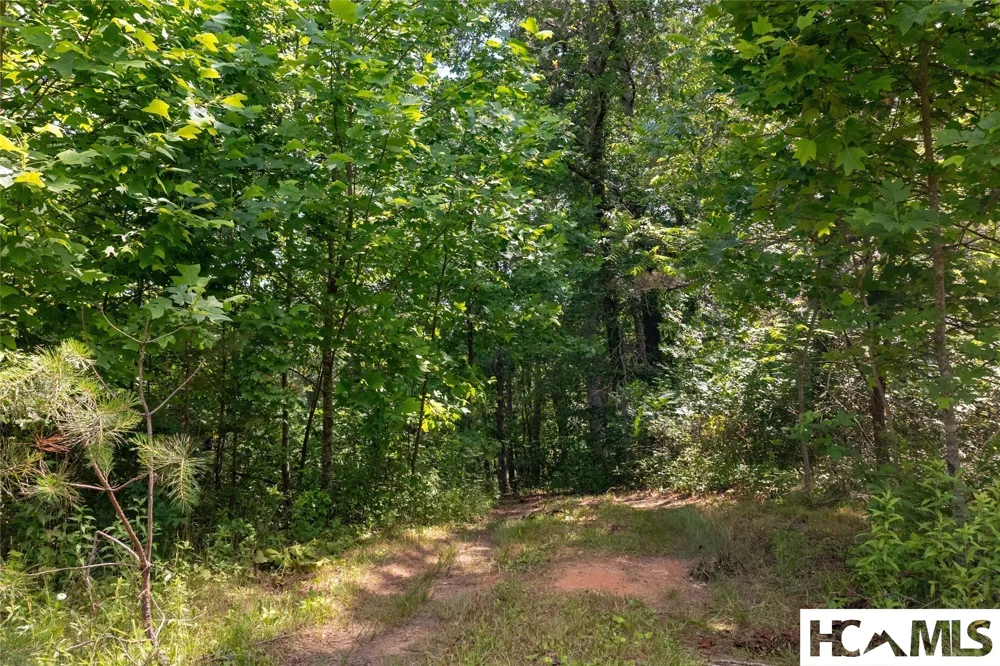 132 Jason McCall Cemetary Road Balsam Grove, NC 28708