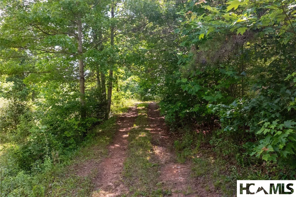 132 Jason McCall Cemetary Road Balsam Grove, NC 28708