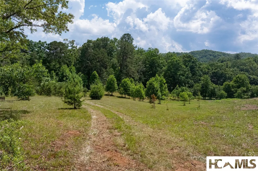 132 Jason McCall Cemetary Road Balsam Grove, NC 28708