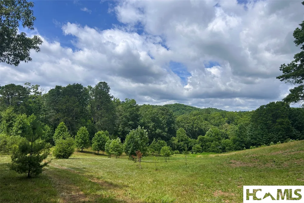 132 Jason McCall Cemetary Road Balsam Grove, NC 28708