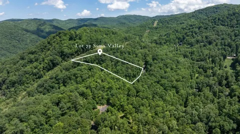 73 Pilot Knob Road