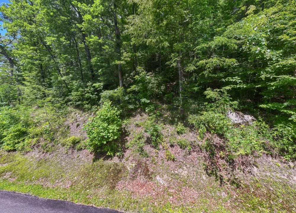 73 Pilot Knob Road Glenville, NC 28736