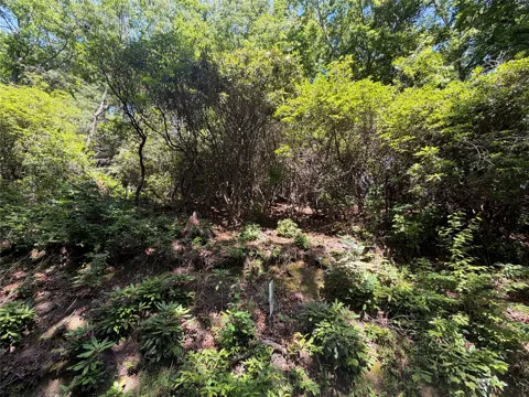 00 Old Bear Ridge Road