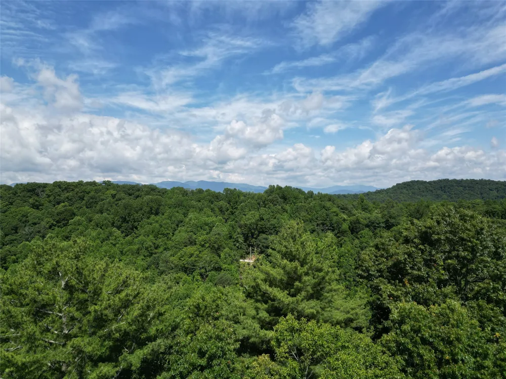 00 Old Bear Ridge Road Scaly Mountain, NC 28775