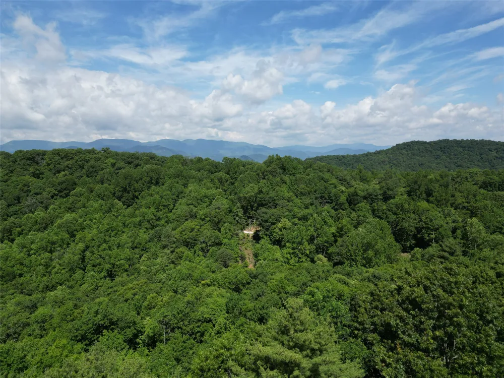 00 Old Bear Ridge Road Scaly Mountain, NC 28775