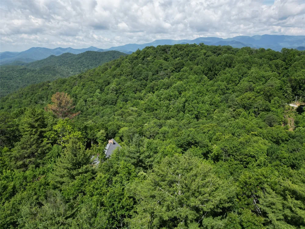 00 Old Bear Ridge Road Scaly Mountain, NC 28775