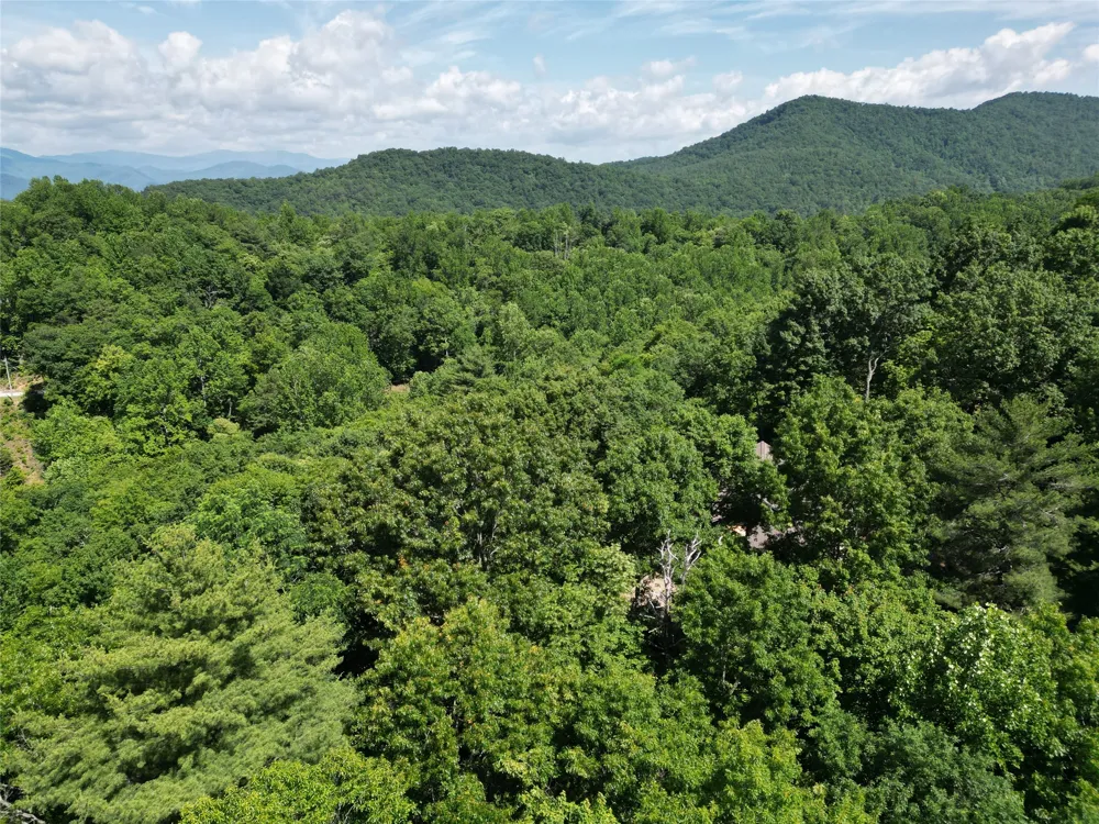 00 Old Bear Ridge Road Scaly Mountain, NC 28775