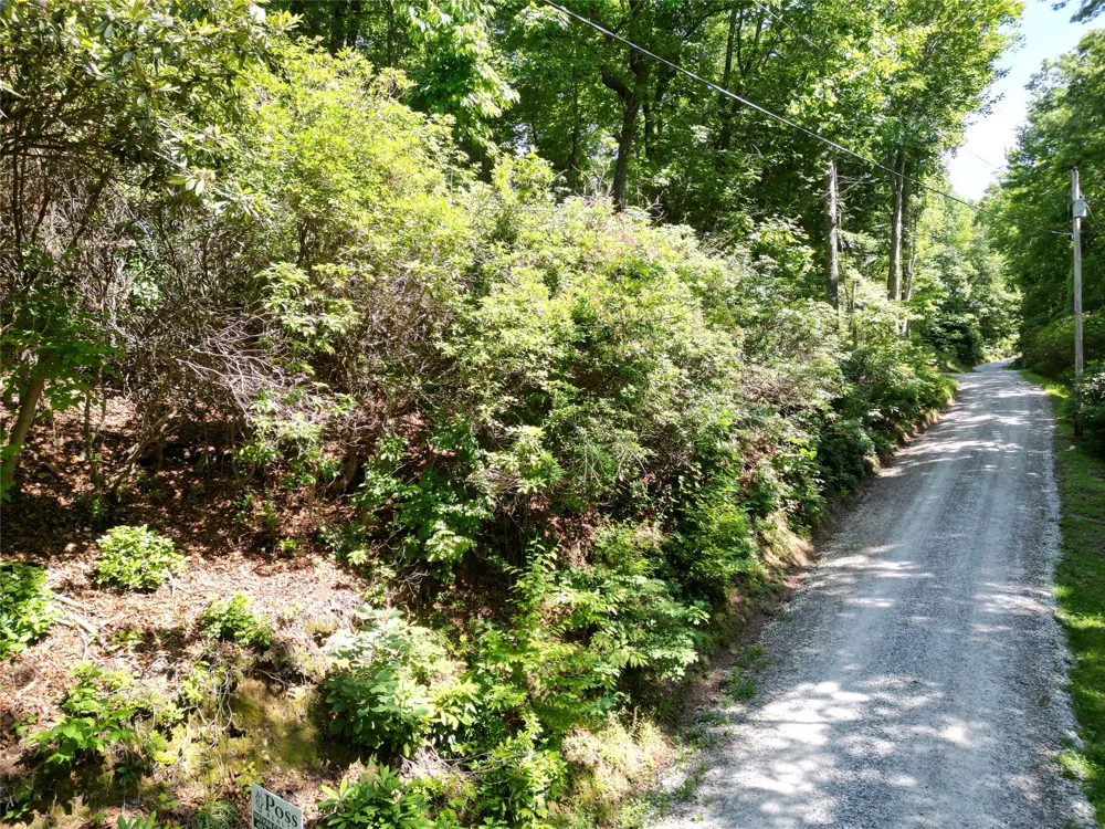 00 Old Bear Ridge Road Scaly Mountain, NC 28775