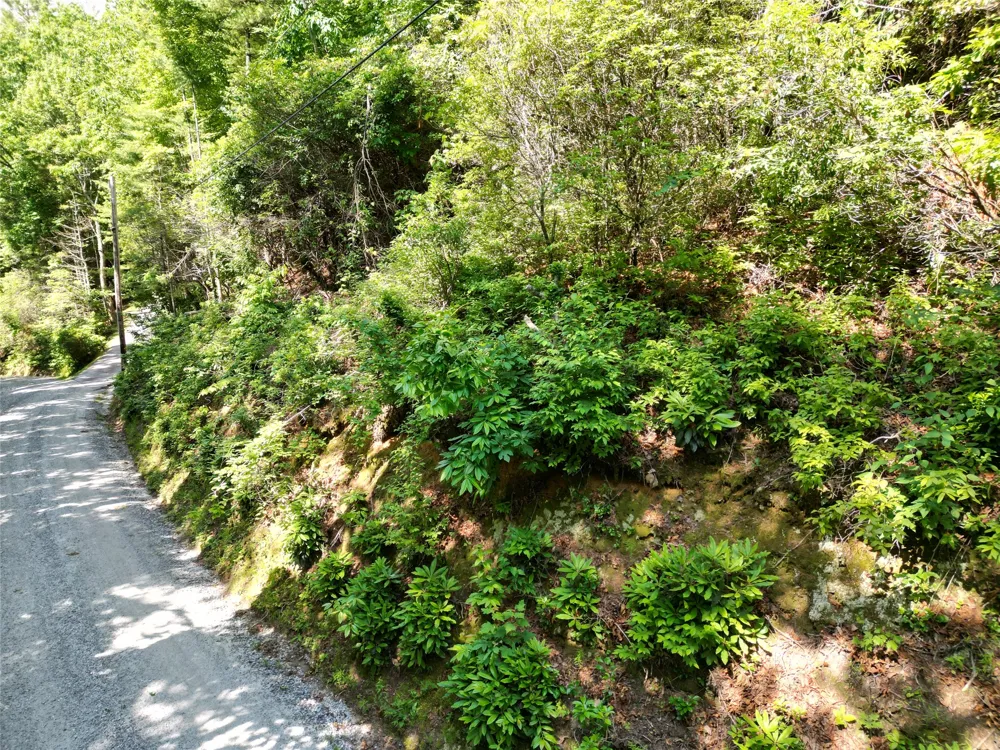 00 Old Bear Ridge Road Scaly Mountain, NC 28775