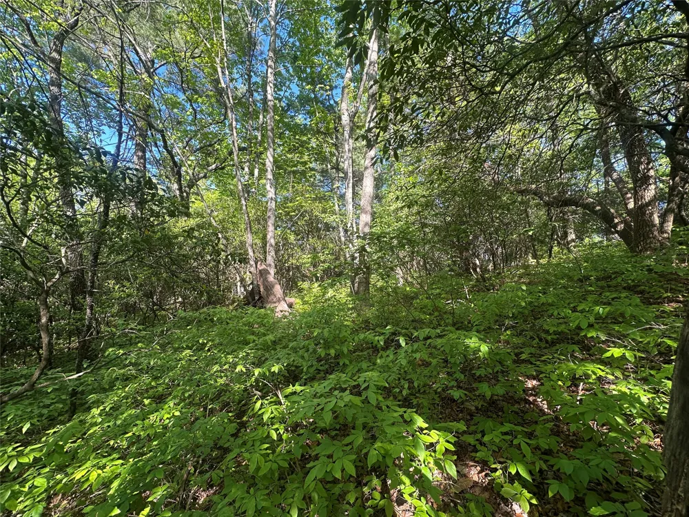 RR 17 Lakeside Drive Lake Toxaway, NC 28747