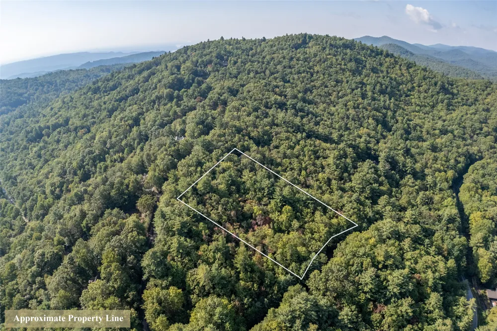 RR 17 Lakeside Drive Lake Toxaway, NC 28747