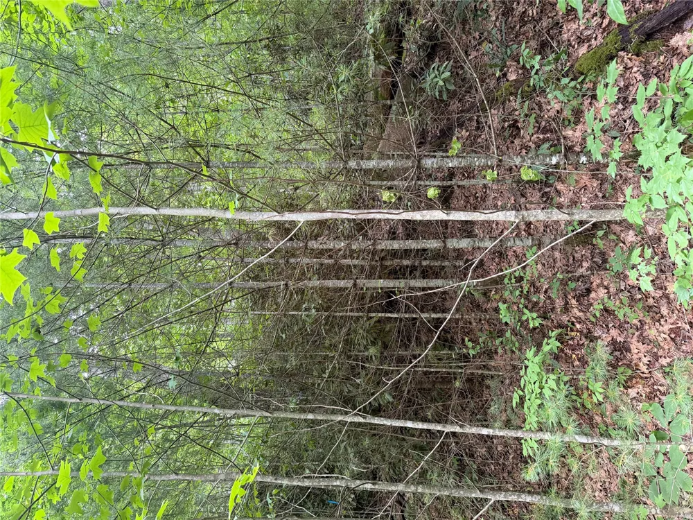 12 Captiva Mountain Drive Cullowhee, NC 28723
