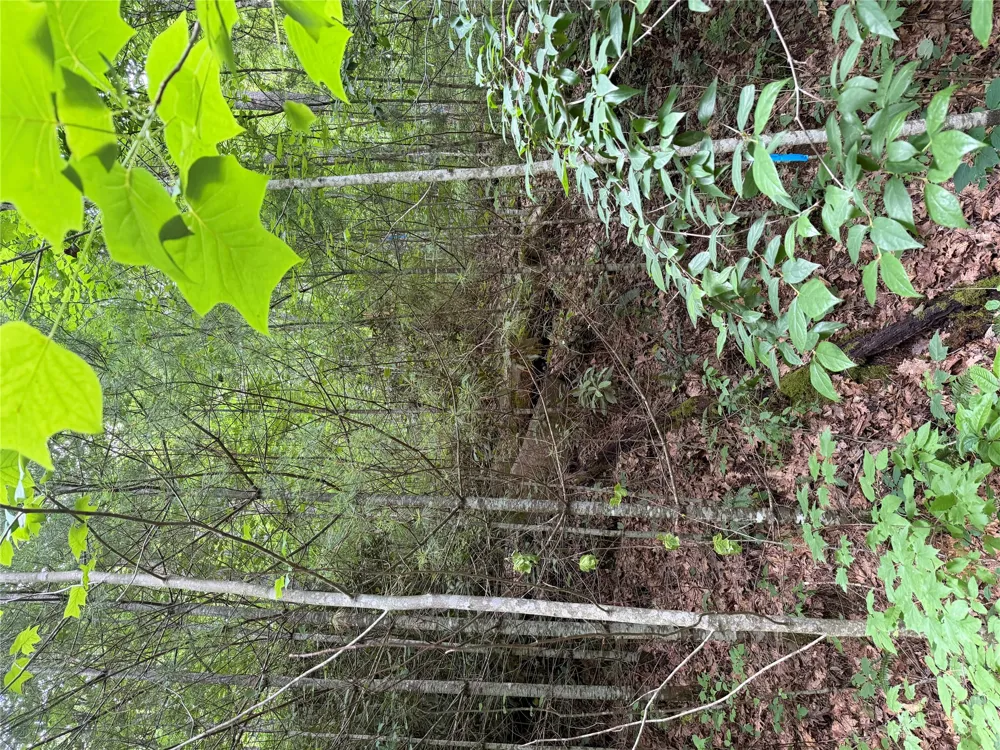 12 Captiva Mountain Drive Cullowhee, NC 28723