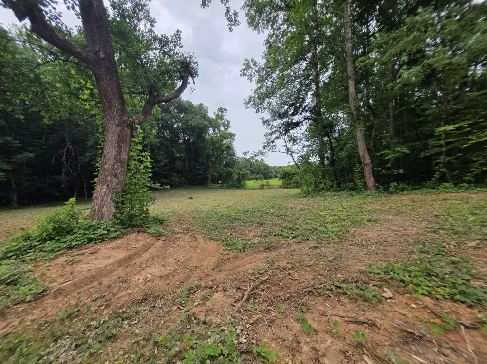 12 Shellsford Rd McMinnville, TN 37110