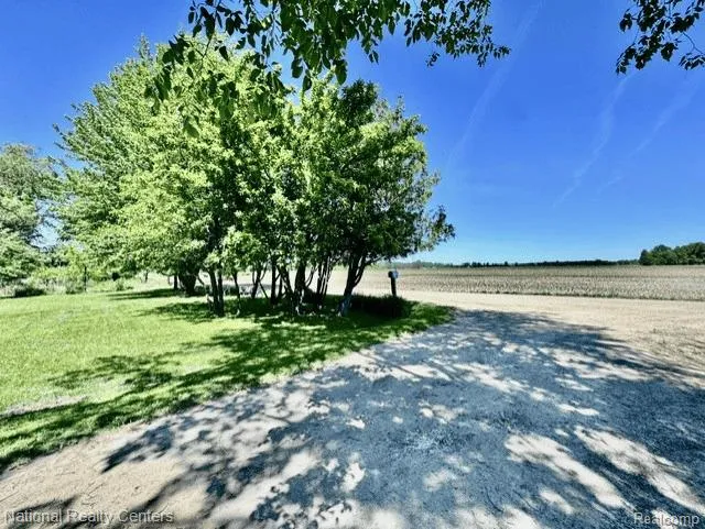 4800 Fargo Road Buel Township, MI 48422