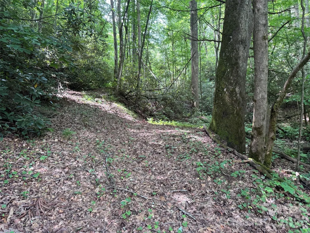 10A Reserve Road Brevard, NC 28768