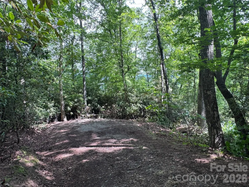 10A Reserve Road Brevard, NC 28768