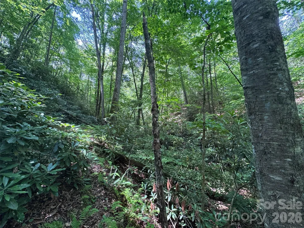 10A Reserve Road Brevard, NC 28768