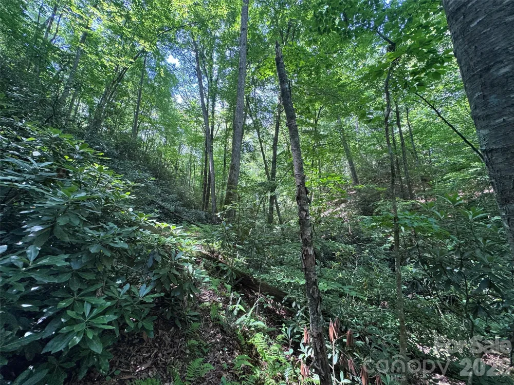 10A Reserve Road Brevard, NC 28768