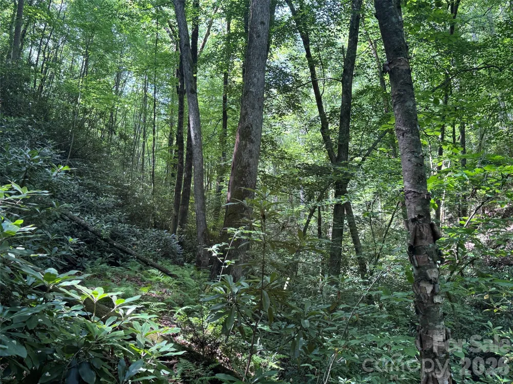 10A Reserve Road Brevard, NC 28768