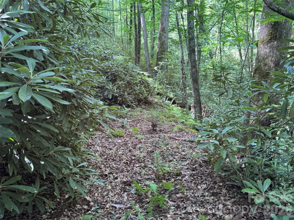 10A Reserve Road Brevard, NC 28768
